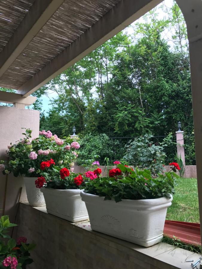 Villa Alla Bed And Breakfast Herceg Novi Exterior foto